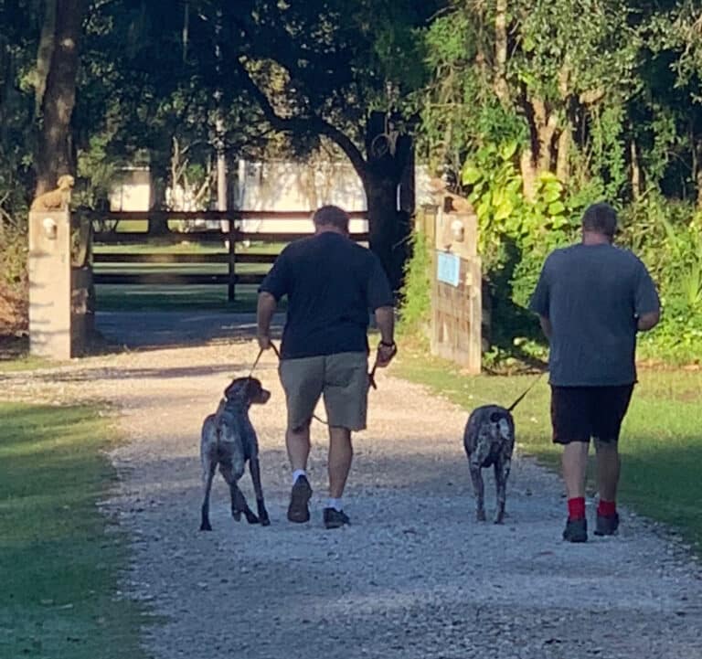 Photo Gallery Just4Paws Pet Boarding in Sarasota