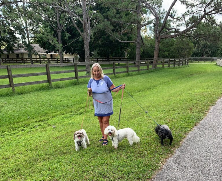 Photo Gallery Just4Paws Pet Boarding in Sarasota