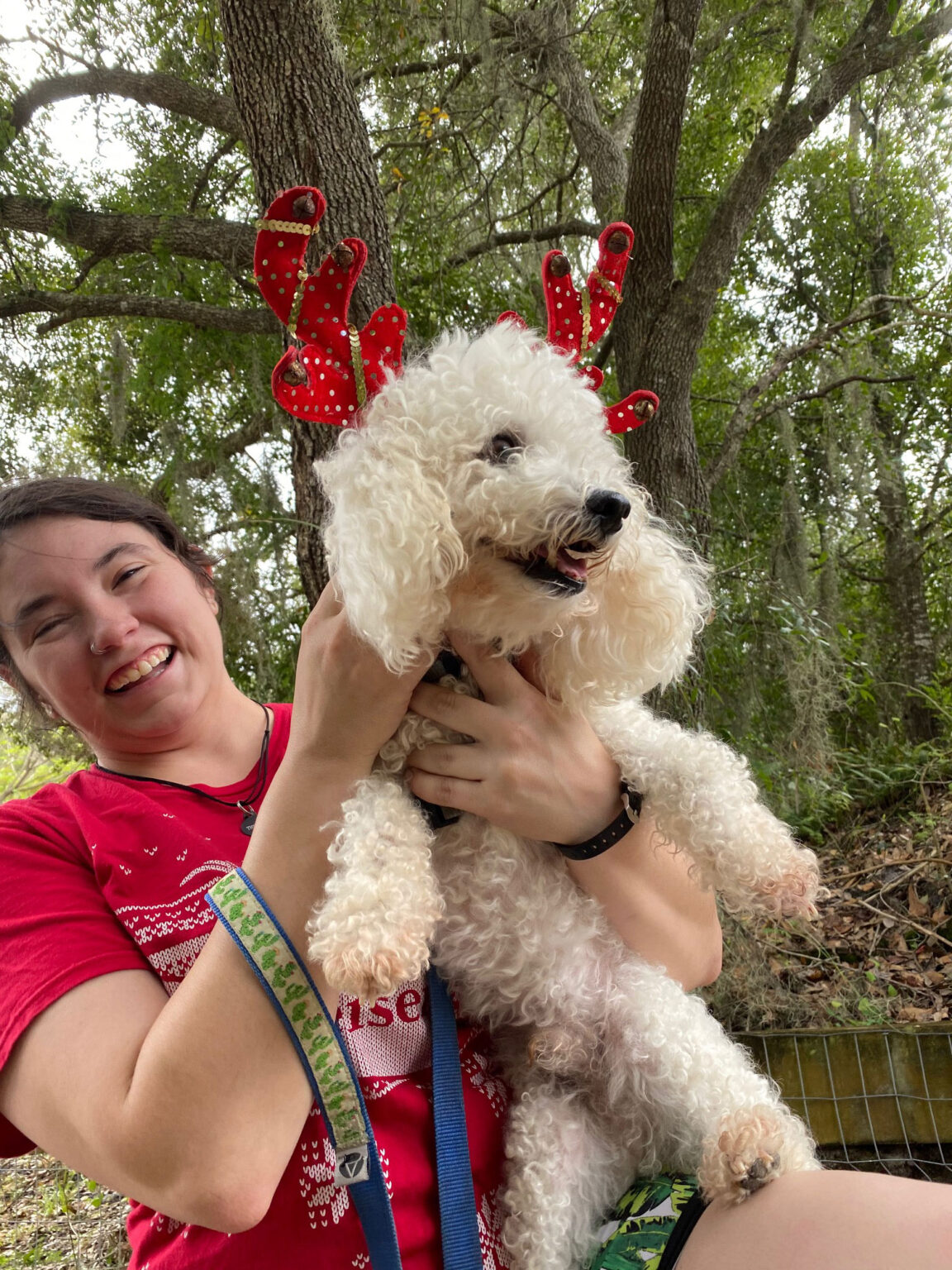 Photo Gallery Just4Paws Pet Boarding in Sarasota