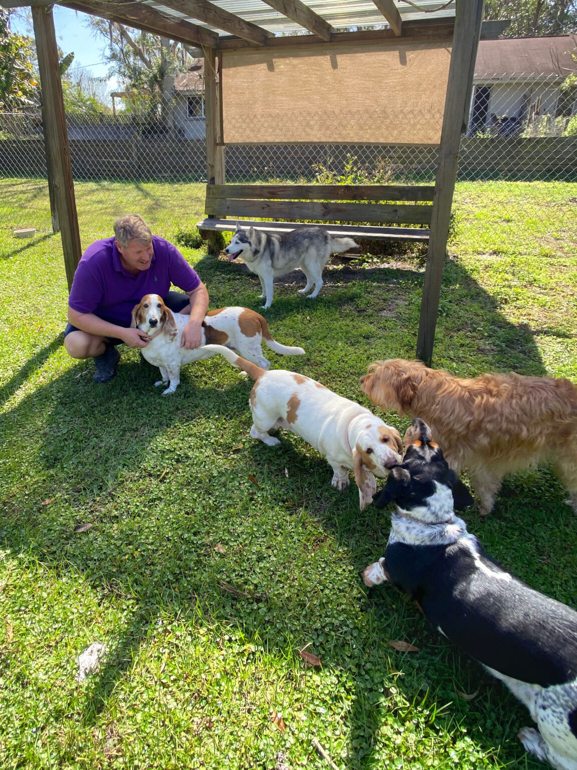Photo Gallery Just4Paws Pet Boarding in Sarasota
