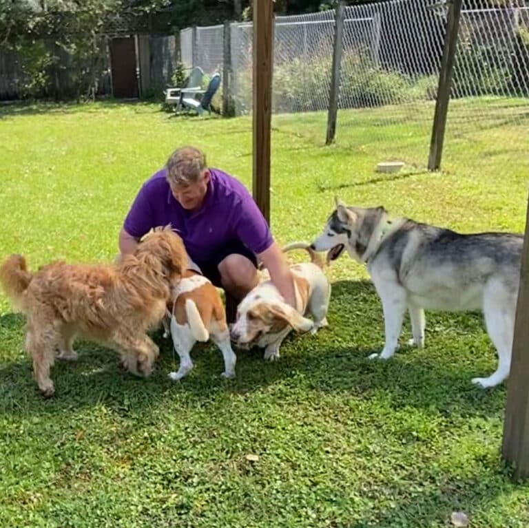 Photo Gallery Just4Paws Pet Boarding in Sarasota