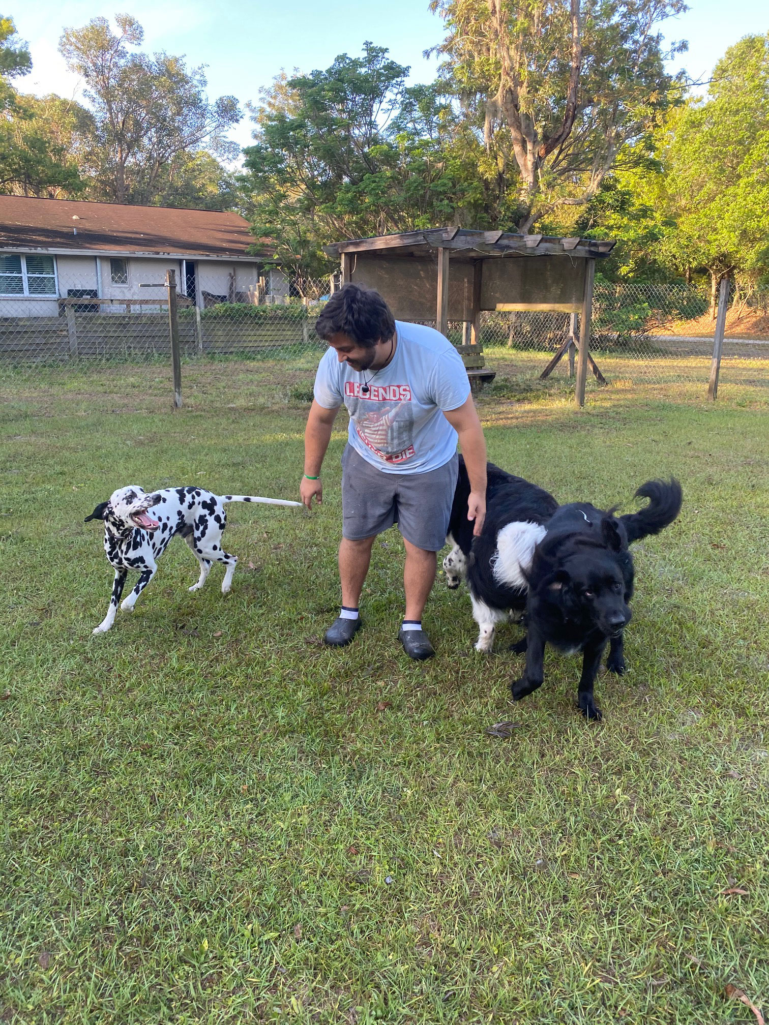 Photo Gallery Pet boarding Sarasota, Dog Boarding SarasotaPet