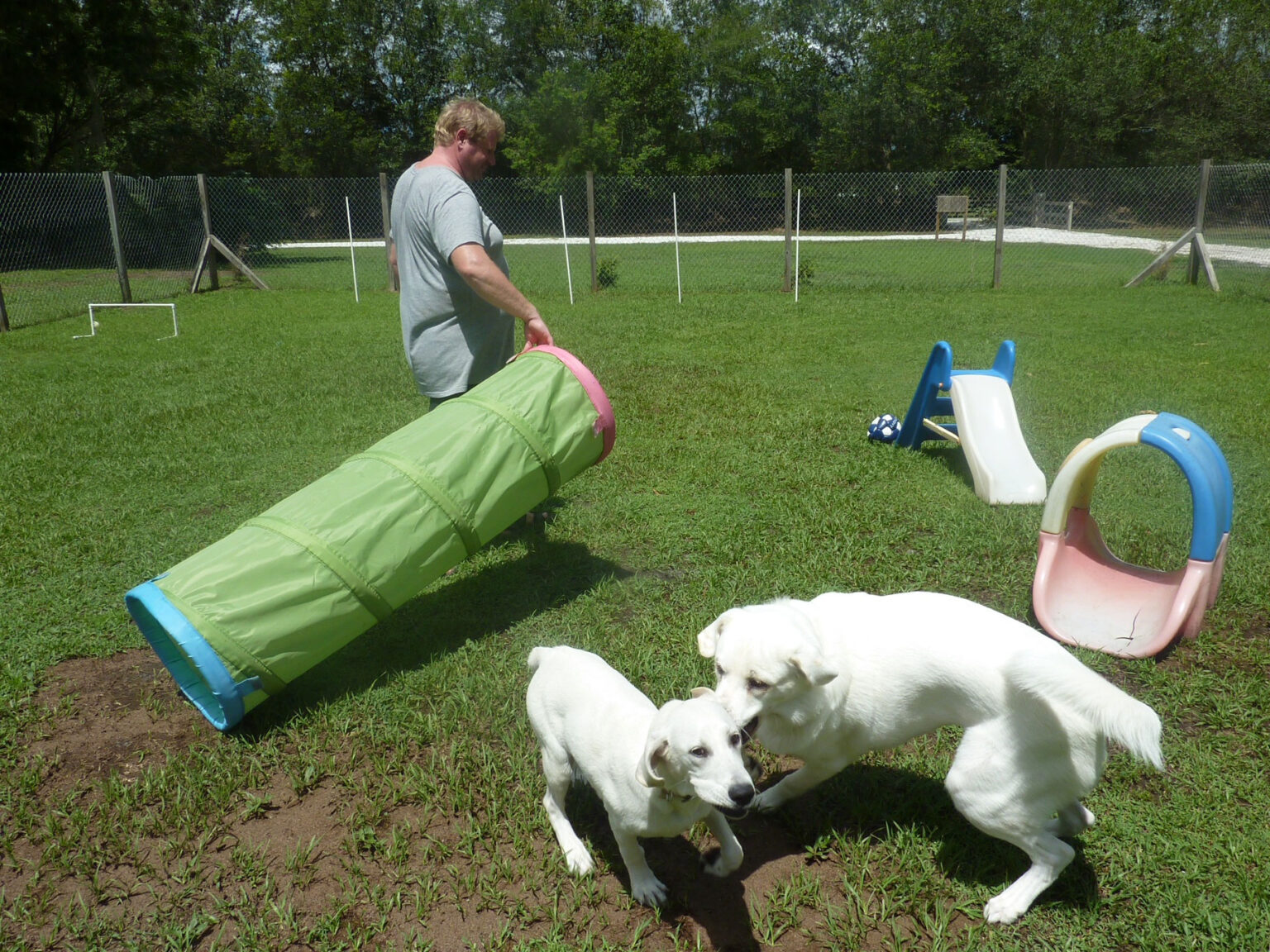 Photo Gallery Just4Paws Pet Boarding in Sarasota