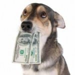 dog-money-150x150