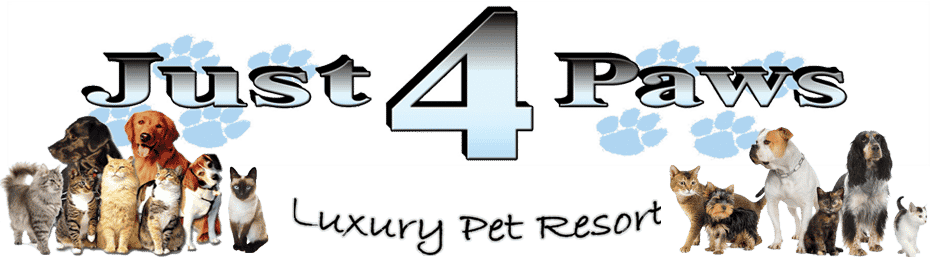 just4paws-pet-boarding-sarasota-logo